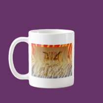 Animania mugs