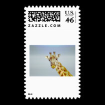 Animania postage