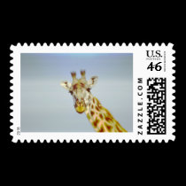Animania postage
