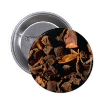 Anise star pinback button