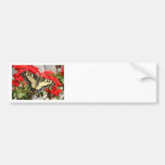 Anise Swallowtail Bumper Sticker