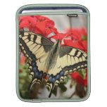 Anise Swallowtail iPad Sleeve
