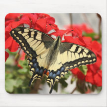 Anise Swallowtail Mousepad