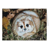 "Anissa" dog rock card