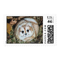 "Anissa" dog rock stamp