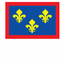 Anjou Flag T-shirt by FlagTshirts Anjou Flag T-shirt