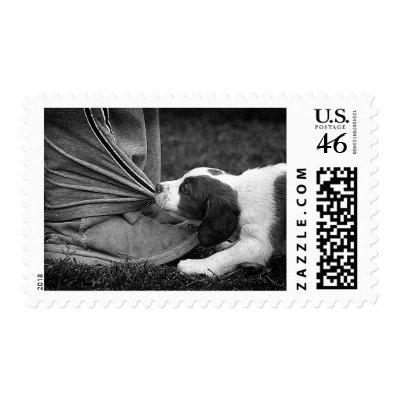 Ankle Biter Stamps by helen2000g