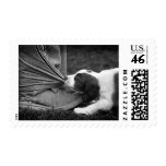 Ankle Biter postage