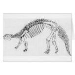 Ankylosaurus Cards