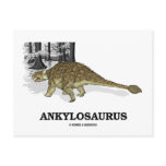 Ankylosaurus (Fused Lizard Dinosaur) Post Card