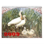 ANMBR036, 2009 WALL CALENDARS