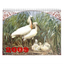 ANMBR036, 2009 calendars