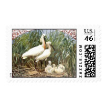 ANMBR036 stamps