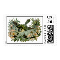 ANMBR119 stamps
