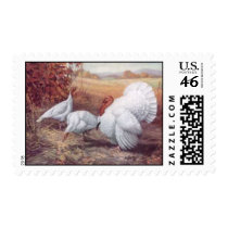 ANMBR140 stamps