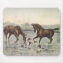 ANMFA088 mousepads