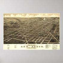 Ann Arbor Birdseye Map Print