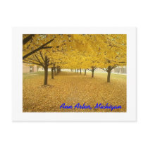 Ann Arbor in Fall Postcards