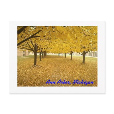 Ann Arbor in Fall Postcards by jacobracer