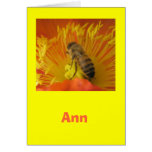Ann Cards