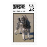 Anna in Maine Stamp