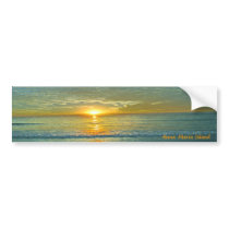 Anna Maria Island Bumper Stickers