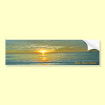 Anna Maria Island bumper stickers
