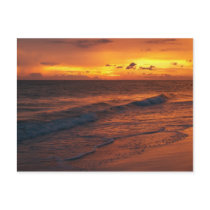Anna Maria Island, FL Postcards