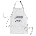 Anna Maria Island Florida Nautical chart Apron
