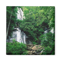 Anna Ruby Falls Fridge Magnet