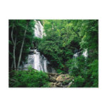 Anna Ruby Falls Post Cards