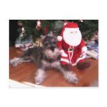 Anna with Santa Post Card