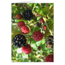 annabel3 greeting card