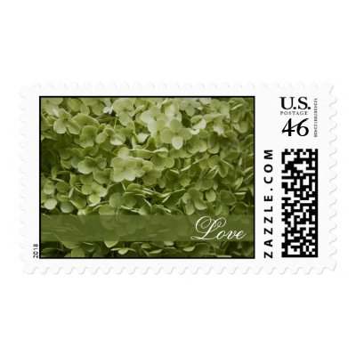 Annabelle Hydrangea Love Wedding Postage Stamps
