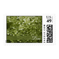 Annabelle Hydrangea Love Wedding Postage Stamps