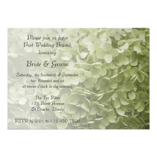 Annabelle Hydrangea Post Wedding Brunch Invitation