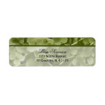 Annabelle Hydrangea Return Address Labels