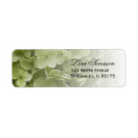 Annabelle Hydrangea Return Address Labels