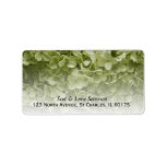 Annabelle Hydrangea Return Address Labels