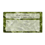 Annabelle Hydrangea Shipping Label