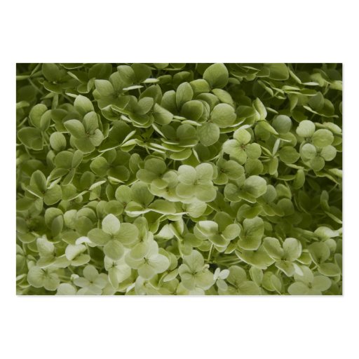Annabelle Hydrangea Wedding Place Cards Business Cards (back side)