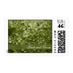 Annabelle Hydrangea Wedding Postage Stamps