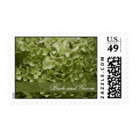 Annabelle Hydrangea Wedding Postage Stamps