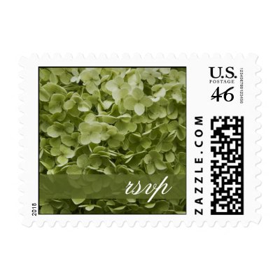 Annabelle Hydrangea Wedding RSVP Postage Stamp
