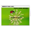 ANNABELLE'S BUGS cards by dplyler ANNABELLE'S BUGS cards