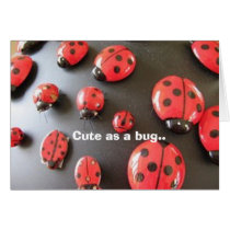 Annabelle's Bugs cards