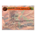 AnnaRuth's Carrot Applesauce Cake Postcard