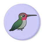 Anna's Hummingbird Round Magnet