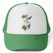 Anna's Hummingbird, James Audubon Trucker Hats