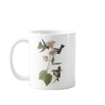 Anna's Hummingbird, James Audubon Mugs